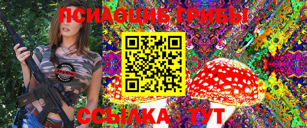 Галлюциногенные грибы Psilocybe Соль-Илецк