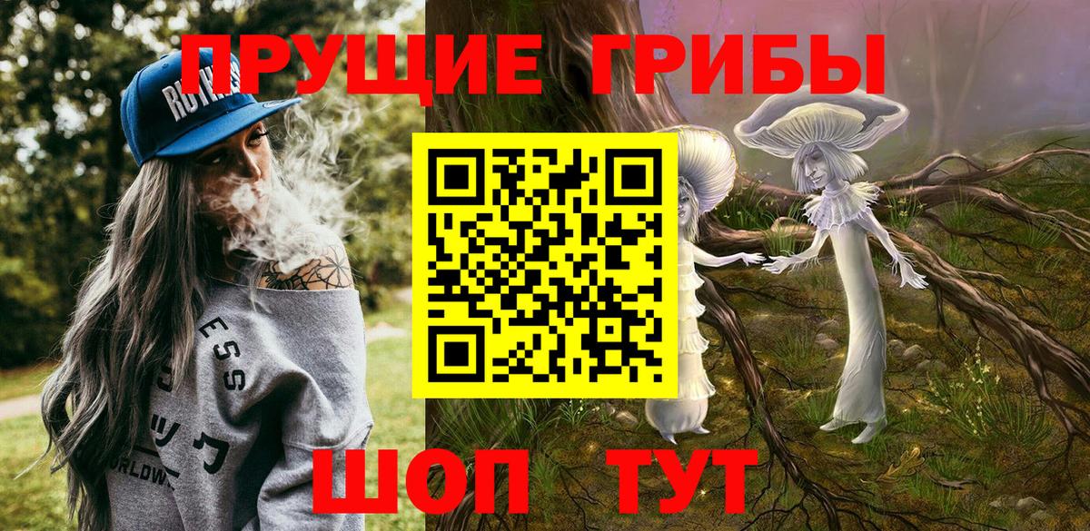Псилоцибиновые грибы Psilocybine cubensis  Вход с VPN  Галлюциногенные грибы мицелий  Соль-Илецк 